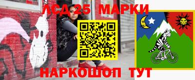 мяу мяу мука Гатчина