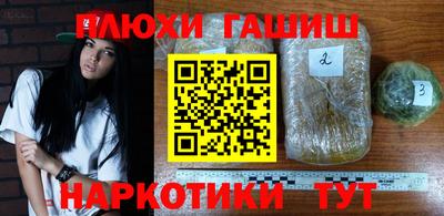 мяу мяу мука Гатчина