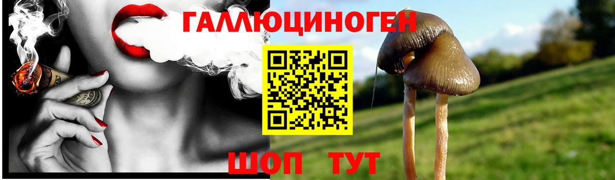 купить закладку  Галлюциногенные грибы MAGIC MUSHROOMS  Вход с VPN  Мирный  Галлюциногенные грибы GOLDEN TEACHER 
